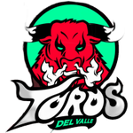 Toros del Valle