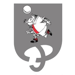 Doneztebe