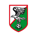 Polonia Sroda