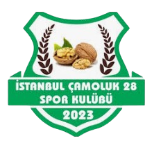 İst. Çamlouk 28