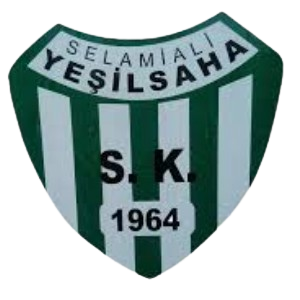 Selami Ali YS
