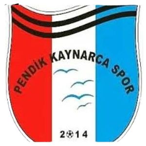 P. Kaynarcaspor