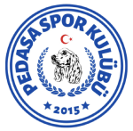 Pedasa FSK